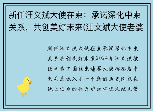 新任汪文斌大使在柬：承诺深化中柬关系，共创美好未来(汪文斌大使老婆)